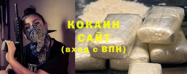 шишки Карпинск