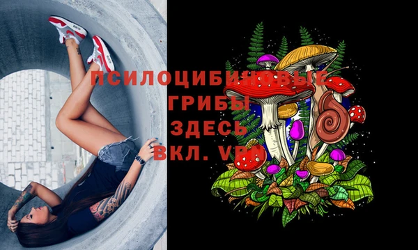 jwh Касимов