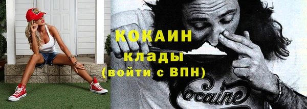 молекула духа Белая Холуница