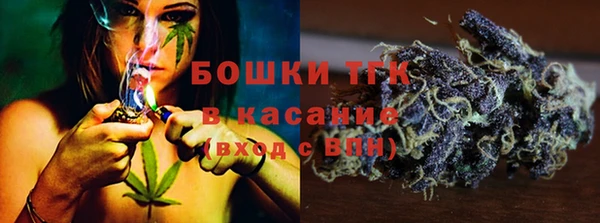 шишки Карпинск