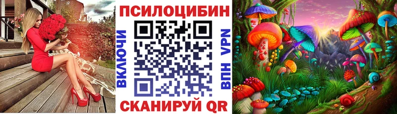 mega рабочий сайт  Княгинино  Галлюциногенные грибы Psilocybe 